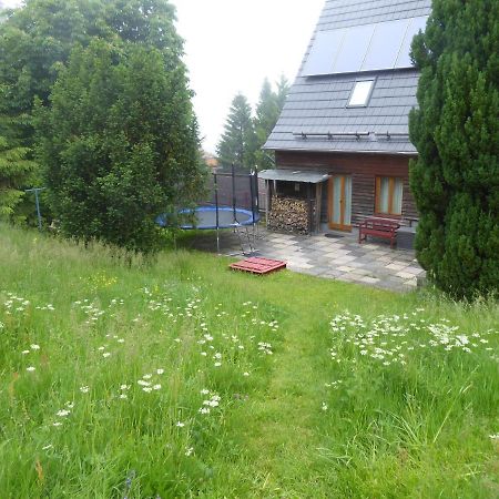 Haus Bergwiese - Fuer Naturfreunde, Familien, Wanderer Gehlberg Zewnętrze zdjęcie